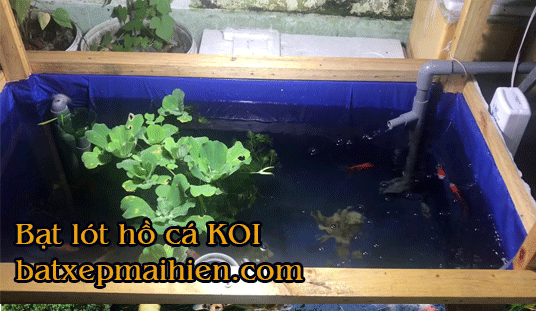 Bạt Lót Ao Hồ Nuôi Ốc Hương, Bạt HDPE Lót Hồ Nuôi Ốc Giá Rẻ Báo giá bán lẻ Bạt Lót Bể Cá Cảnh nhựa HDPE nuôi cá koi tphcm