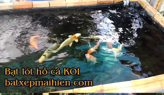 Báo giá bán lẻ Bạt Lót Bể Cá Cảnh nhựa HDPE nuôi cá koi tphcm