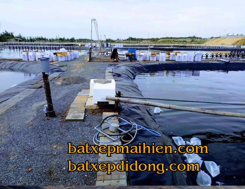 Thi công lót bạt ao hồ, thi công bạt hdpe chống thâm ao hồ nuôi tôm Thi công lót bạt ao hồ, thi công bạt hdpe chống thâm ao hồ nuôi tôm
