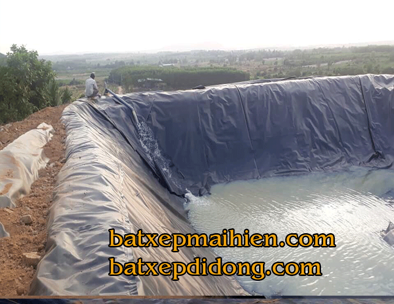 Thi công lót bạt ao hồ, thi công bạt hdpe chống thâm ao hồ nuôi tôm Thi công lót bạt ao hồ, thi công bạt hdpe chống thâm ao hồ nuôi tôm