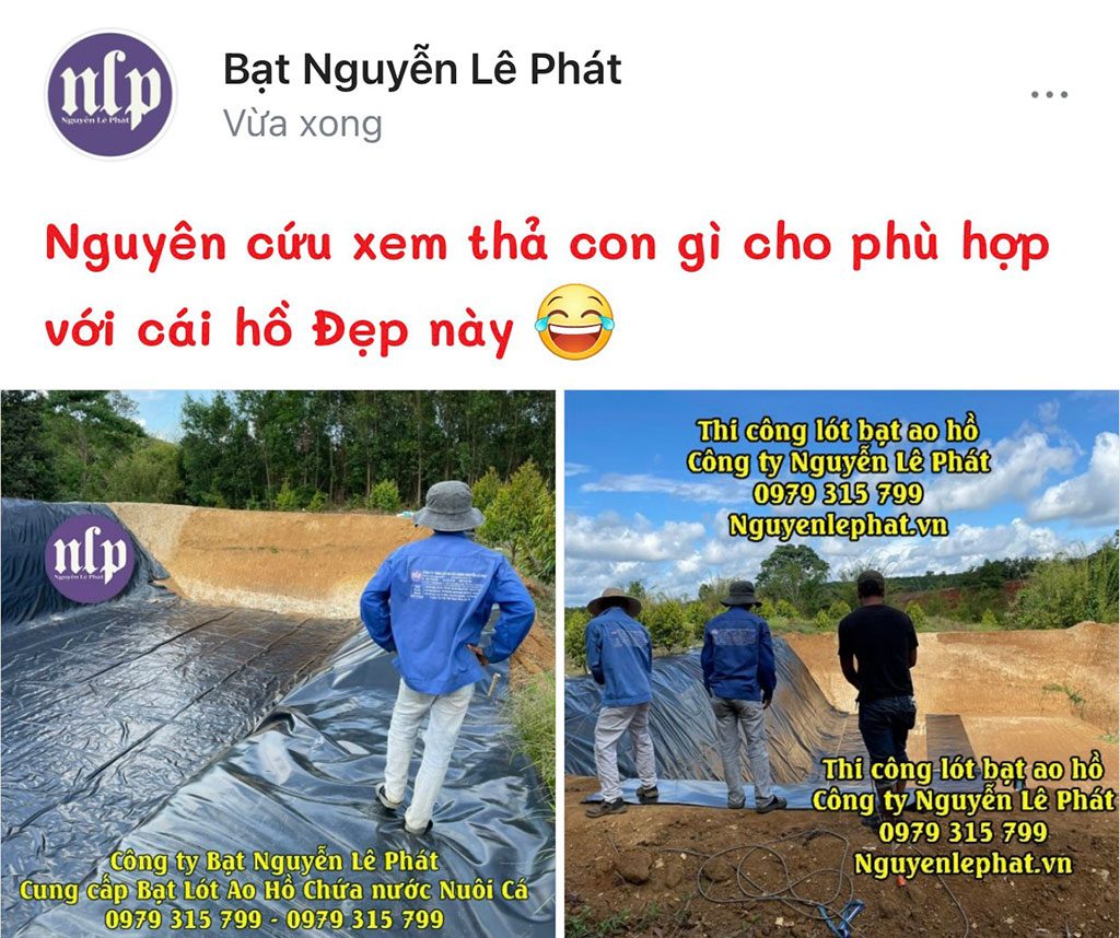 Bạt lót ao hồ