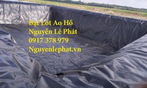 Bạt Lót Ao Hồ Chứa Nước Nuôi Cá Ốc Thuận An