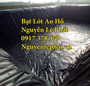 Bạt Lót Bờ Ao Hồ Chứa Nước Nuôi Cá Ốc Bến Tre