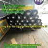 Bạt Nhựa HDPE Lót Ao Hồ Tại Bạc Liêu Đủ Chuẩn DEM