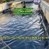 Bạt lót ao hồ Củ chi