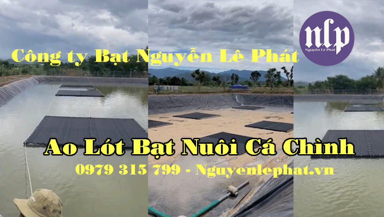 Bạt lót hồ nuôi cá