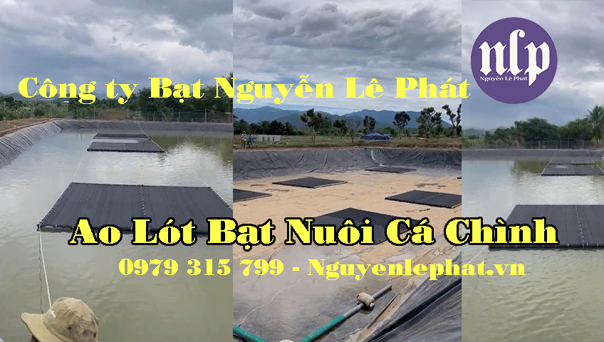 Bạt lót ao hồ nuôi tôm HDPE