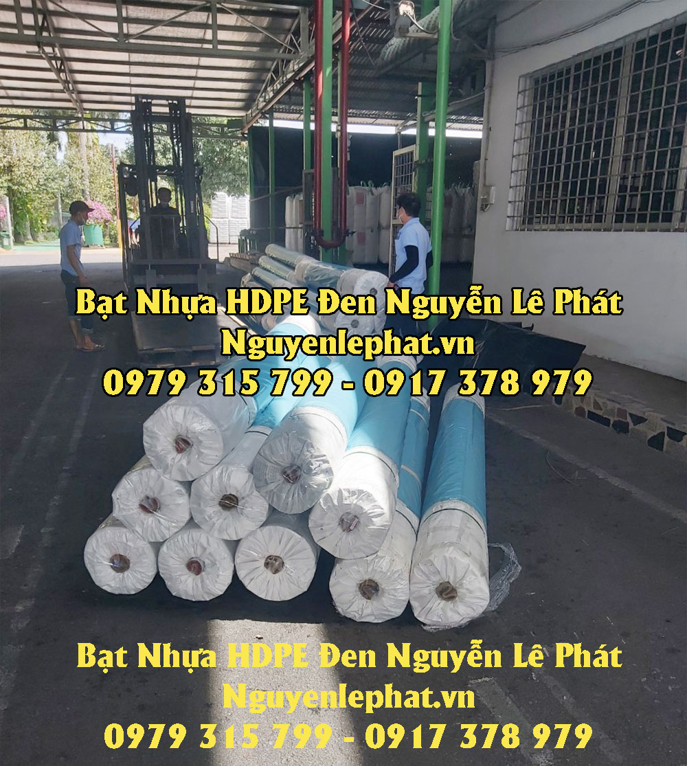 công ty bạt Nguyễn Lê Phát