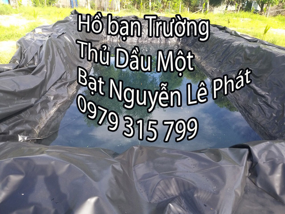 Bạt lót hồ chứa nước tại Thủ Dầu Một Bạn Trường Bạt lót hồ chứa nước tại Thủ Dầu Một Bạn Trường