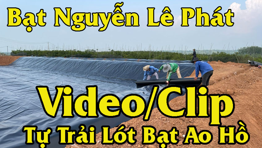 Cung cấp Bạt lót ao hồ Nuôi Ốc Lươn Trà Vinh giá rẻ