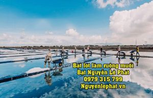 Thi Công Lót Bạt Làm Ruộng Muôi Tại Bạc Liêu