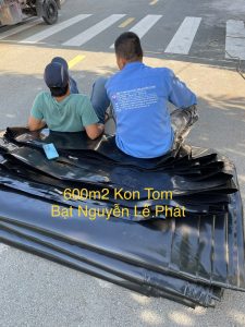 Bạt Lót Ao Hồ Chứa Nước Nuôi Cá Ốc Lươn Hóc Môn