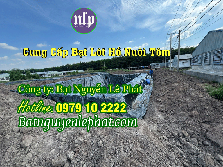 Bạt lót hồ tưới cây