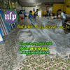 Bạt nhựa PVC trong suốt che nắng mưa