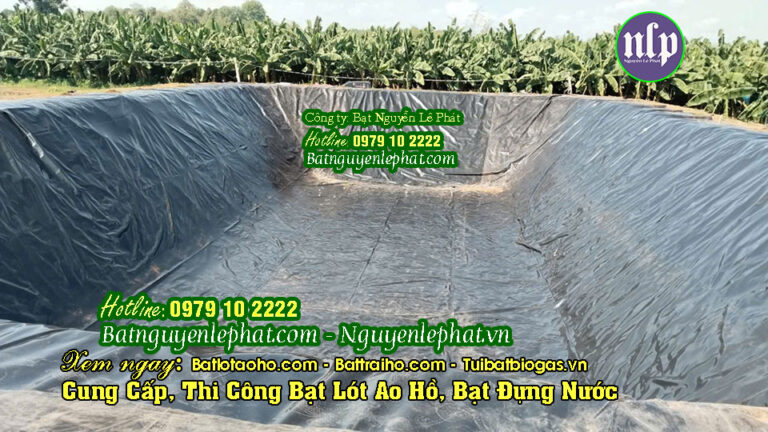Bạt lót hồ Long An