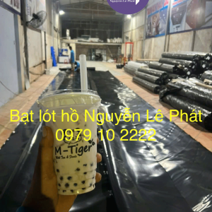 Cung cấp bạt lót ao hồ HDPE tại Quãng Ngãi ĐỦ chuẩn DEm